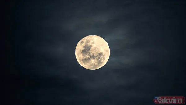 Yengeç 🔹Yengeç, Ay İle Doğal Bir Astrolojik Bağ İçindedir. Bu Da Onun Duygularını Ve Sezgilerini Çok Daha Yoğun Yaşamasına Neden Olur. 🔹Ay'ın Her Evresi,...