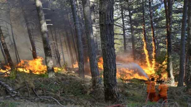 Tarım ve Orman Bakanlığı personel alımı 2022 başvuruları ne zaman, nasıl yapılır? 5 bin 64 personel alımı başvuru şartları!-4