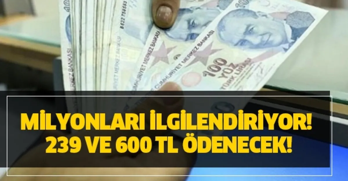 yardim alma basvuru sartlari nedir basvuran herkese devletten 2 yilda 239 600 tl mama bez ve sut yardimi takvim