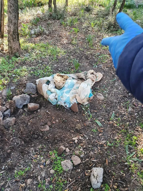 bebek-gomuldugunden-suphelenilen-mezardan-kopek-cesedi-cikti-1606472923866.jpg Bebek gömüldüğünden şüphelenilen mezardan köpek cesedi çıktı-4