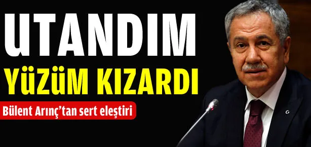 Arınç’tan sert eleştiri