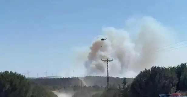 Son dakika: Silivri'de orman yangını!