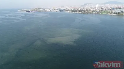 Marmara Denizi’ne müsilaj geri mi dönüyor? İstanbul’da Tuzla Kadıköy ve İzmit ile Yalova’da korkutan görüntü