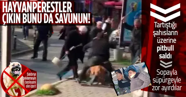 Yine pitbull dehşeti! Beyoğlu'ndan 3 kişiyi yaraladı