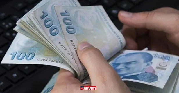 Yıllık kazancı 1.000.000 TL! Yok böyle bir şey! Doğadan ücretsiz olarak topladı! Şimdi paraya para demiyor!