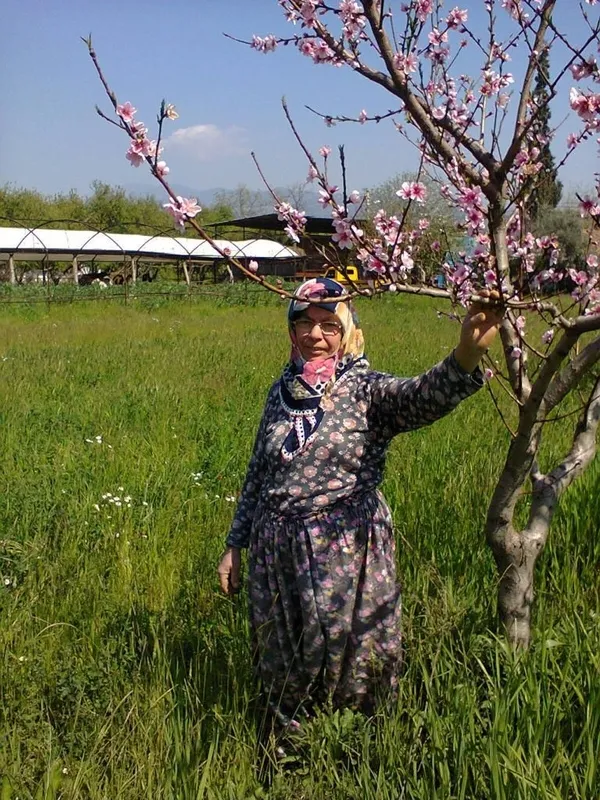 yasli-cifti-daire-tuzagiyla-dolandirdilar-2-ayri-sozlesme-duzenleyip-arsayi-ellerinden-aldilar-1601579155772.jpg Yaşlı çifti daire tuzağıyla dolandırdılar! 2 ayrı sözleşme düzenleyip arsayı ellerinden aldılar-1