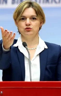 CHP'li Böke ABD elçisi ile görüşüp istifa etti