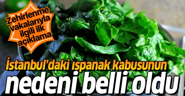 Son dakika: Ispanaktan zehirlenmelerin nedeni belli oldu