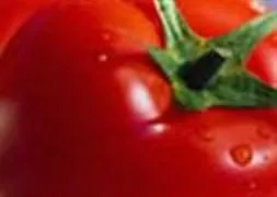 Domatesin kilosu 10 lira