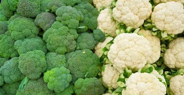 Brokoli ve karnabahar şifa dağıtıyor