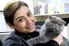 Adana'da, 6 milyonda 1 görülen çift cinsiyetli kedi ortaya çıktı!
