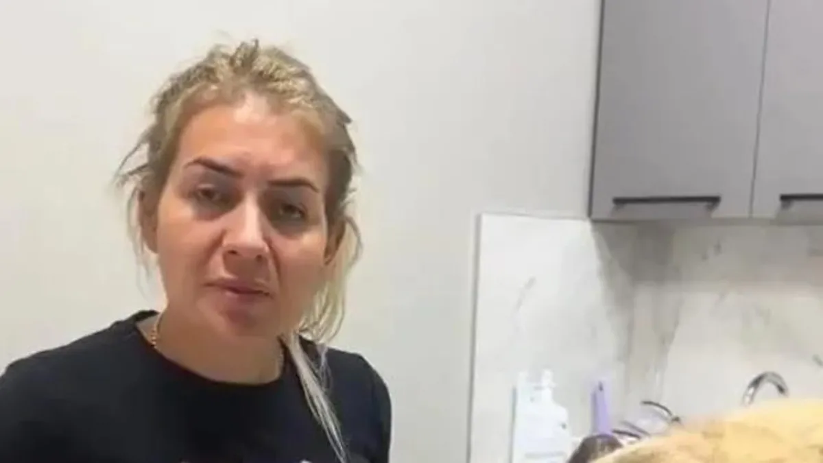 Mama lobisinden 18 milyonluk vurgun! Hayvanseverlerden topladılar sahte faturayla şahsi hesaplarına aktardılar