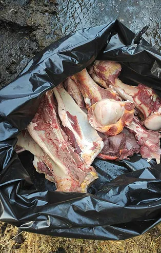 Düzce’de mide bulandıran olay! 20 atı kesip piyasaya süren baba oğula suçüstü baskın