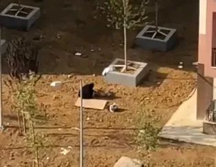 Esenler'de mahalleli ve polisi alarma geçiren olay! Kocasını mezara gömer gibi toprağa gömdü nedenini kimse anlayamadı