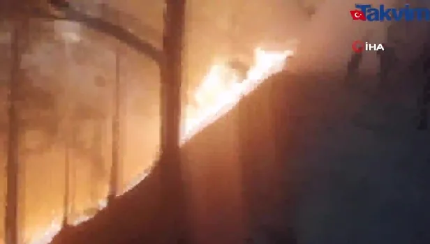 Son dakika: Balıkesir'de orman yangını