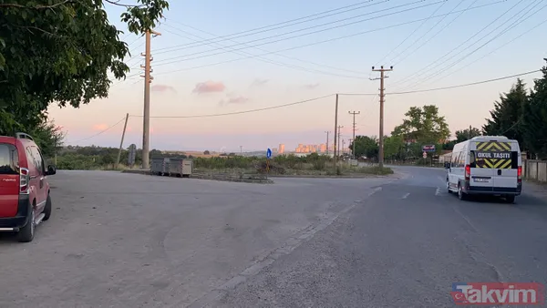 Cinsel istismara direndi kafasına defalarca taşla vurdu! Ayşegül yaşam savaşını kaybetti - 14