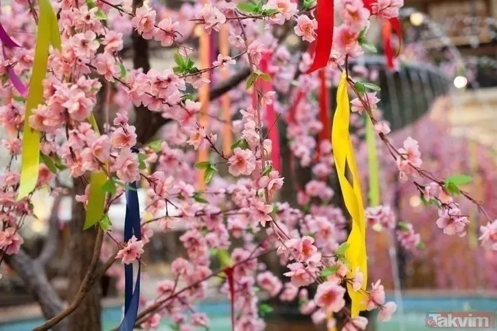 hidirellez-elma-kabugu-ritueli-nedir-ne-zaman-yapilir-2024-hidirellez-gul-agaci-ritueli-nasil-yapilir-asilan-d-1714896187649.jpeg Hıdırellez gül ağacı ritüeli nasıl yapılır, asılan dilek ne zaman alınır? Hıdırellez elma kabuğu ritüeli nedir, ne zaman yapılır 2024? Saat kaçta dua edilir?-4