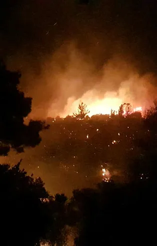 Manavgat'ta orman yangını