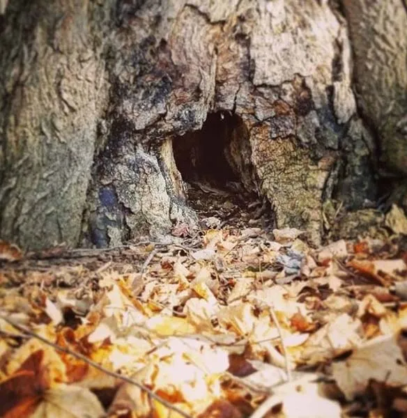 Aklına ilk gelen cevabı ver, kişiliğin hakkında fikir sahibi ol! Hangisi seni en çok korkutuyor? - 5