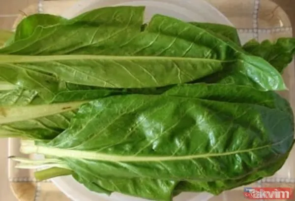 Bu besinler beyin gelişimini destekliyor! İşte iyi gelen o besinlerin listesi... - 15