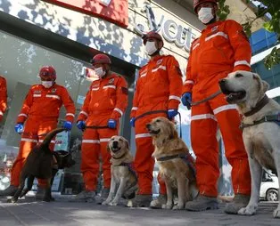 Jandarma Arama Kurtarma ekibindeki köpekler, hassas burunlarıyla enkaz altındakileri hayata bağlıyorlar
