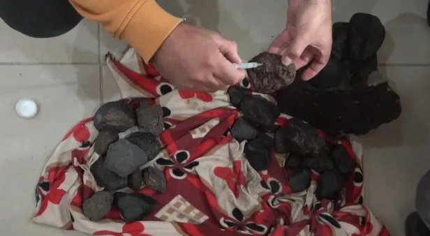 Çiftçi, mantar toplarken onu buldu! Görenler küçük dilini yuttu! Muş'ta sıra dışı bir keşif gündem oldu-6