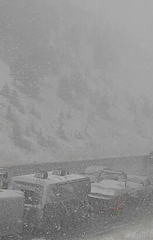 ABD'de beklenen oldu! Bir gecede 33 derece düştü