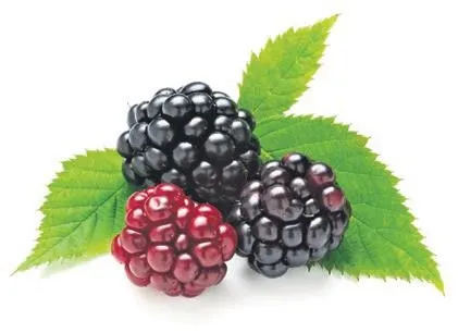 skolyoz-icin-cok-genc-1682369734273.jpeg Skolyoz için çok genç: Çocukluk çağından itibaren...-4