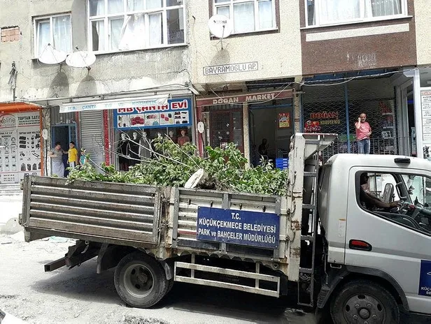 CHP'li Küçükçekmece Belediyesi meyve ağaçlarını kesti-1