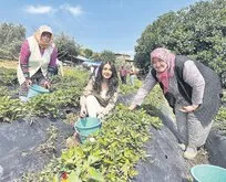 Kaymakam Yağmur Şimşek, kızların okullu olmasını sağladı! Halkın takdirini kazandı