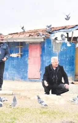 Güvercin uçuverdi!