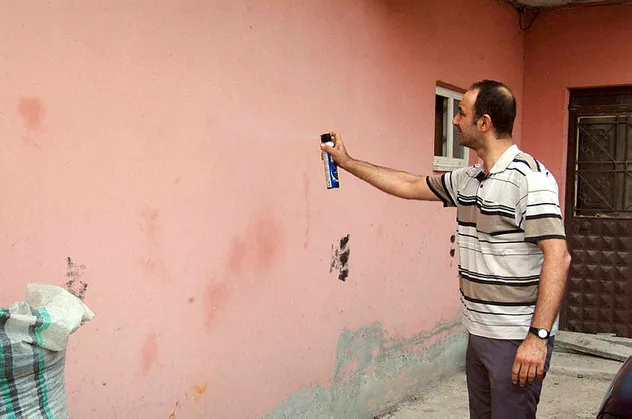 Tekirdağ'da bir mahalleyi böcekler istila etti