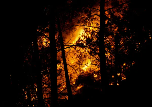 son-dakika-mersinde-orman-yangini-mudahale-2-gunde-suruyor-mersin-antalya-d-400-kara-yolu-ulasima-kapatildi-1662614112586.jpg SON DAKİKA: Mersin'de orman yangını! Sevindiren haber geldi: Yangın kontrol altına alındı-10