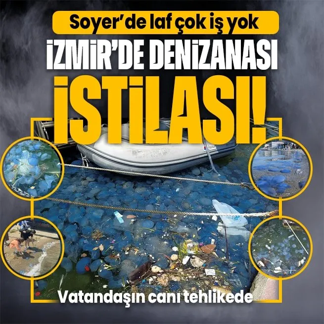CHPli Tunç Soyerin yönetiminde olan İzmirde istila alarmı! Denizanaları Foça’dan sonra Çeşme kıyılarında da panik oluşturdu