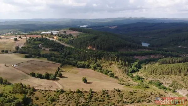 İSKİ'nin son skandalı! Kanalizasyon suları Ömerli Barajı'na akıyor - 19