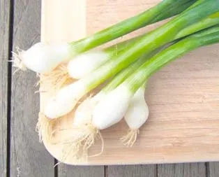 Yeşil soğan zam şampiyonu