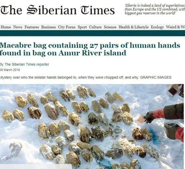 Kesik halde bulunan 54 elin sırrı çözüldü-4