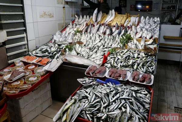 Müsilaj (deniz salyası) ticareti de etkiledi! Balık satışları durdu - 11