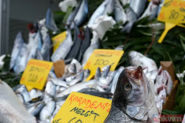 Denizden palamut fışkırdı! Tanesi 20 liraya düştü! Vatandaşın ve esnafın yüzü gülüyor - 9