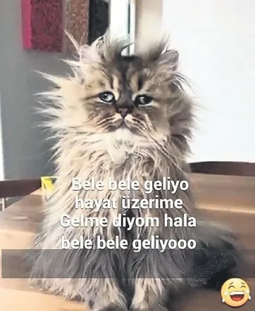 Kısıtlama olimpiyatları şampiyonları