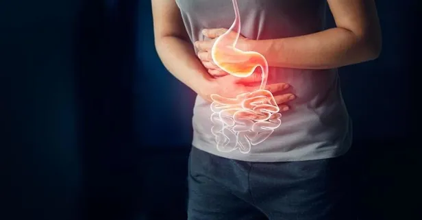 Obezitenin nedeni sağlıksız bağırsak