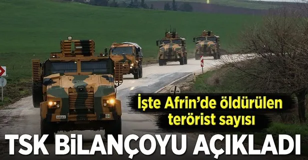 TSK açıkladı! İşte öldürülen terörist sayısı