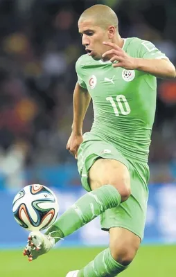 Feghouli ile Fernando Aslan oldu