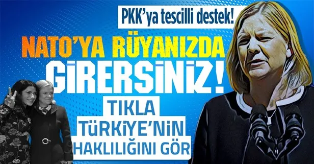 NATO’ya girmek isteyen İsveç’ten Türkiye’yi haklı çıkaran bir skandal daha! PKK destekçisi vekil arasında kirli anlaşma!