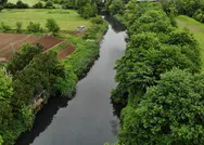 CHPli Ekrem İmamoğlu yönetimindeki İBB çevre katliamı yapıyor! Rivaya zehir akıtıyorlar