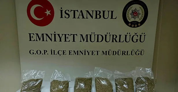 İstanbul Gaziosmanpaşa'da uyuşturucu baskını! 2 kişi gözaltına alındı!
