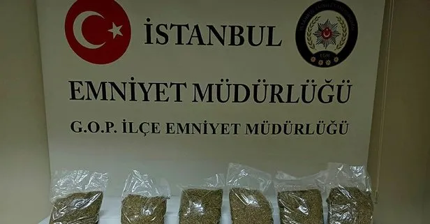 İstanbul Gaziosmanpaşa’da uyuşturucu baskını! 2 kişi gözaltına alındı!