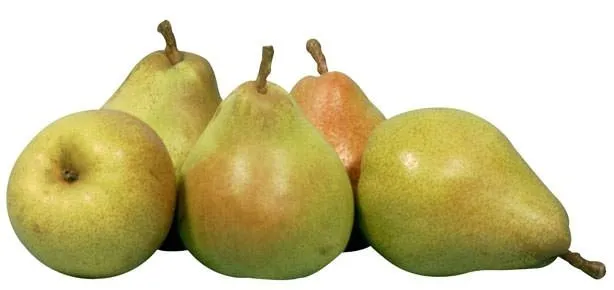 Kalp çarpıntısına armut