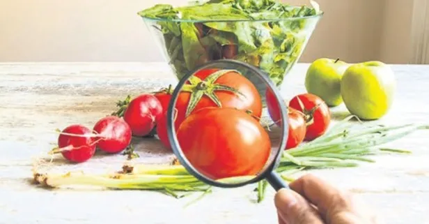 Bitki toksinlerinde denetim kriterleri yenilendi: Uyum süresi 2025’e uzadı