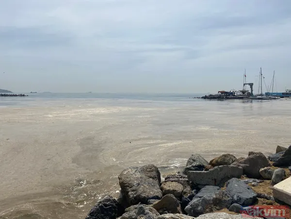 İstanbul Fenerbahçe Sahili deniz salyası kaplandı - 9